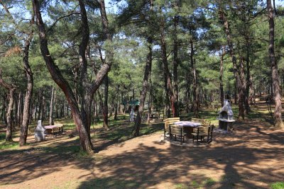 Atatürk City Forest