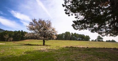 Bağlı Picnic Area