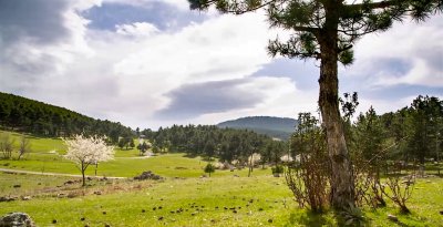 Görecik Upland(Plateau)