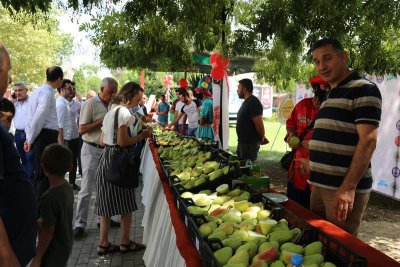 Gürsu Culture, Art and Pear Festival