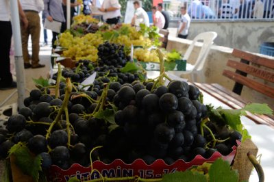 Karabalçık Üzüm Festivali