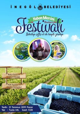 İnegöl Yaban Mersini Festivali