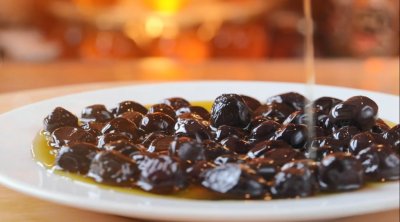 Zeytin-Zeytinyağı Üretimi, Tadım ve Alışveriş